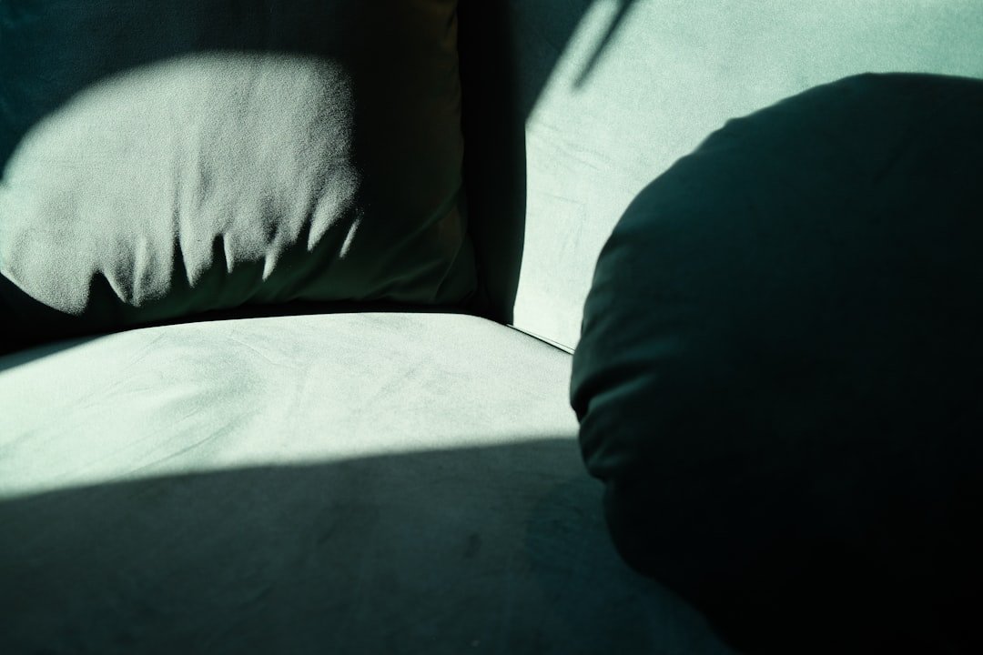 a-close-up-of-a-pillow-on-a-couch-bo7rc9mbuhk